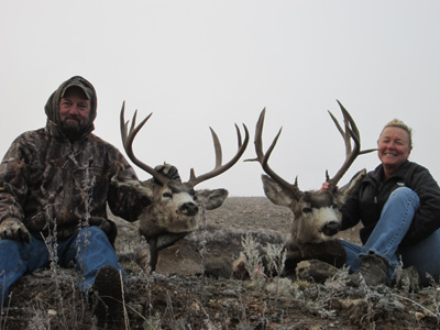 colorado elk hunting